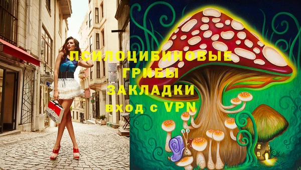 эйфоретик Арсеньев
