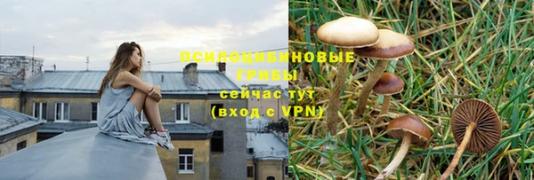 эйфоретик Арсеньев