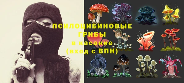 эйфоретик Арсеньев