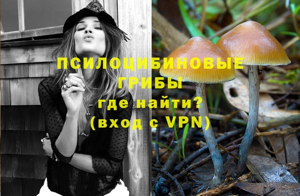 тгк Аркадак